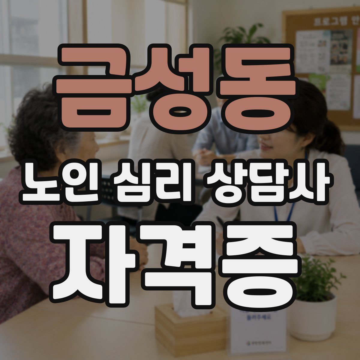 금성동 노인 심리 상담사 자격증