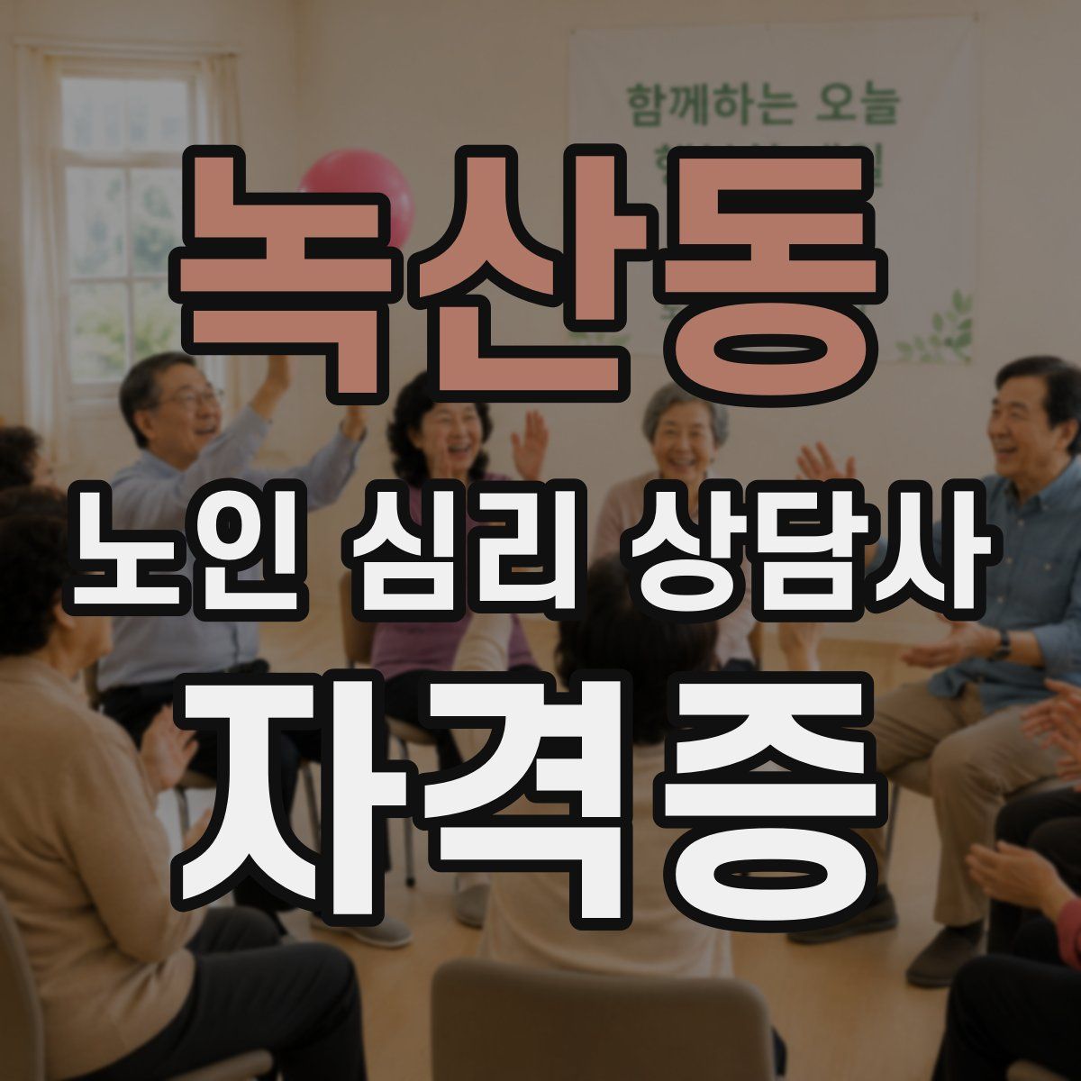 녹산동 노인 심리 상담사 자격증