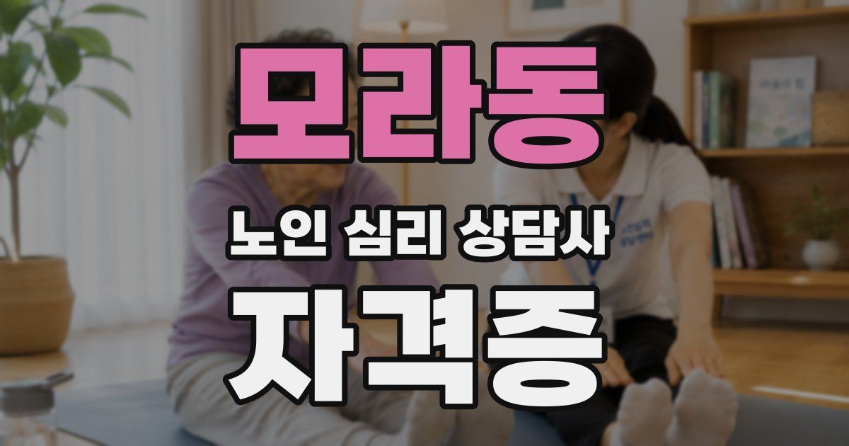 모라동 노인 심리 상담사 자격증