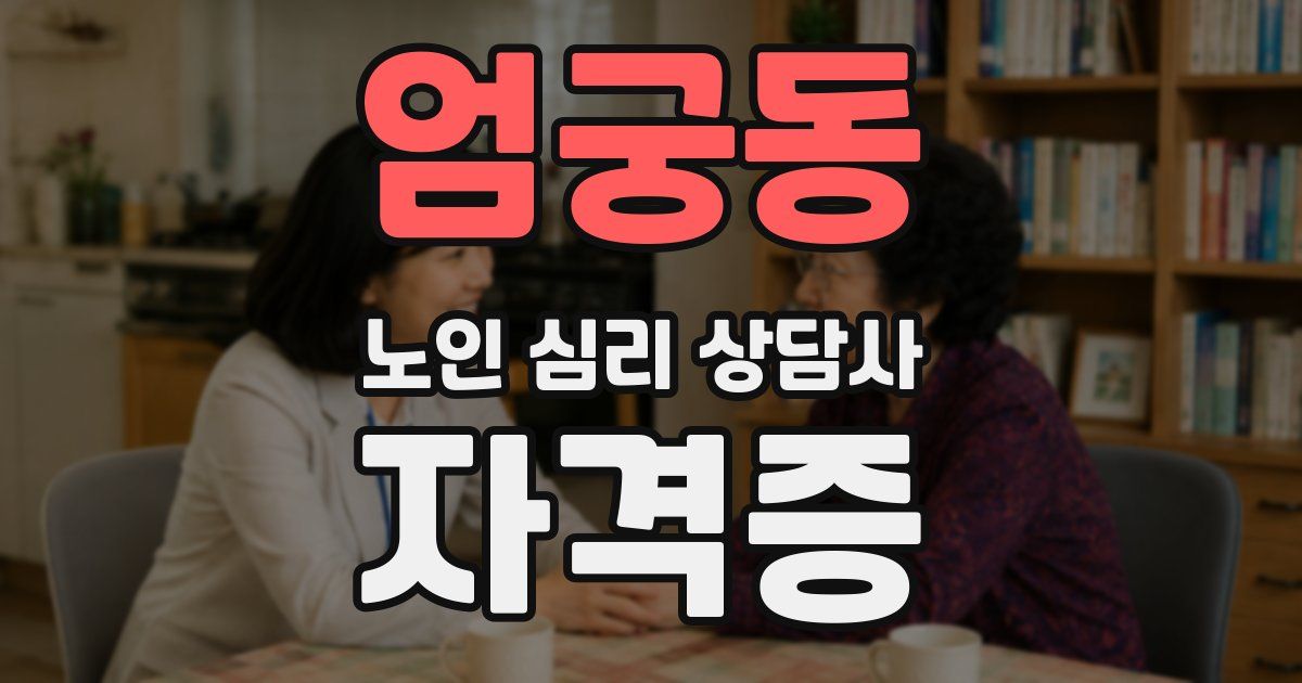 엄궁동 노인 심리 상담사 자격증