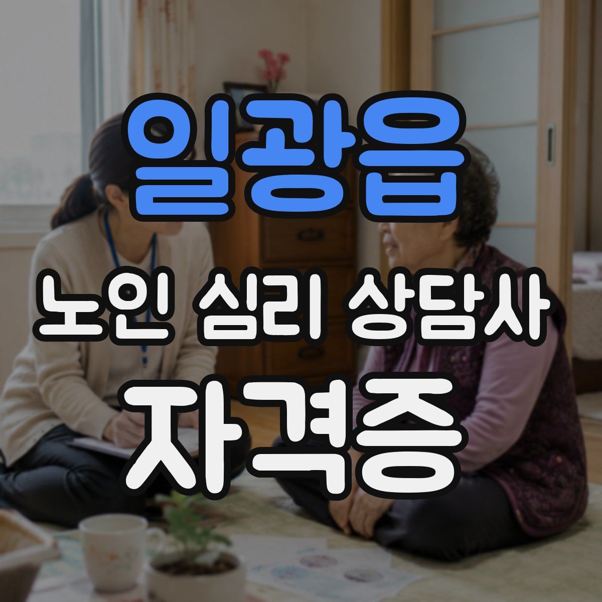 일광읍 노인 심리 상담사 자격증