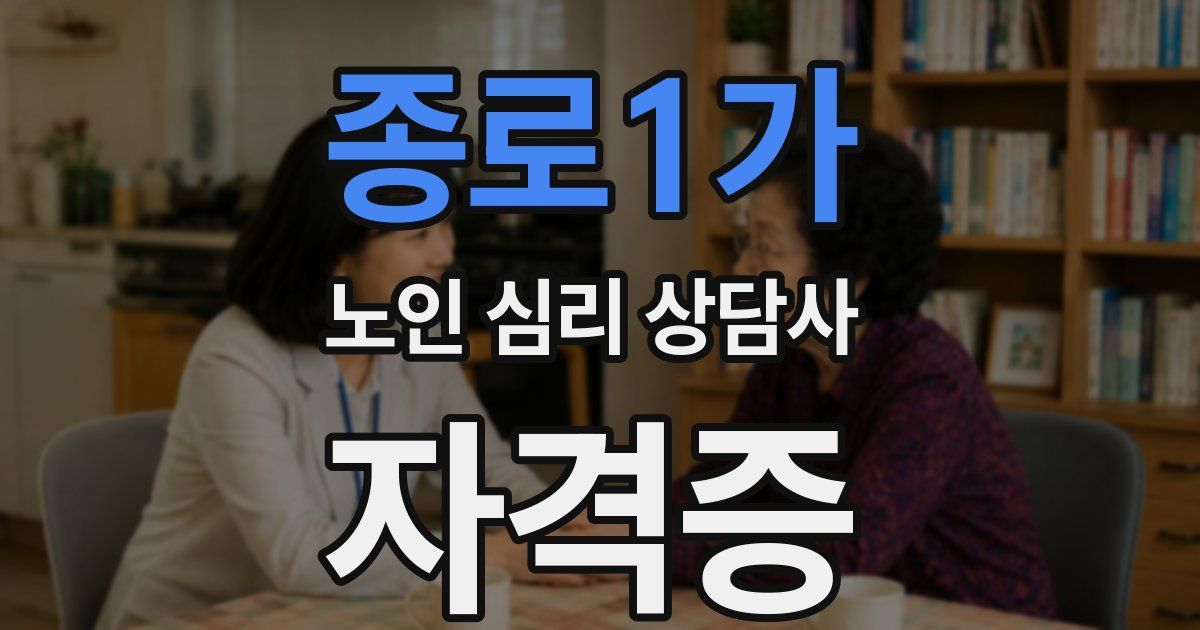 종로1가 노인 심리 상담사 자격증