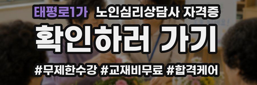 태평로1가 노인 심리 상담사 자격증