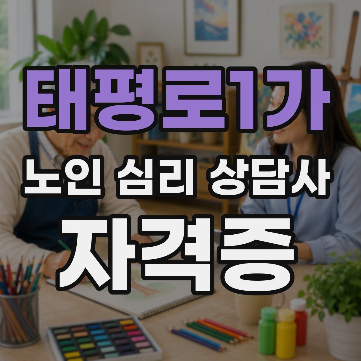 태평로1가 노인 심리 상담사 자격증