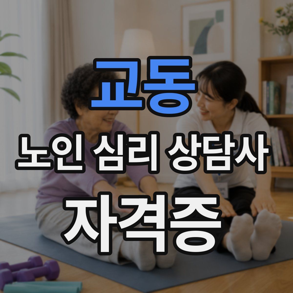 교동 노인 심리 상담사 자격증