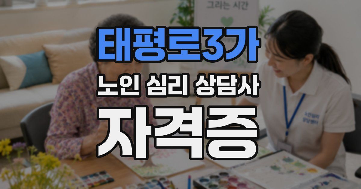 태평로3가 노인 심리 상담사 자격증