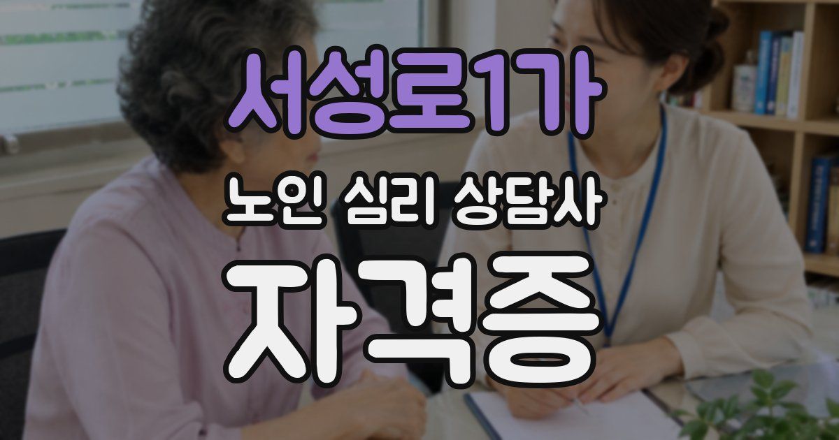 서성로1가 노인 심리 상담사 자격증