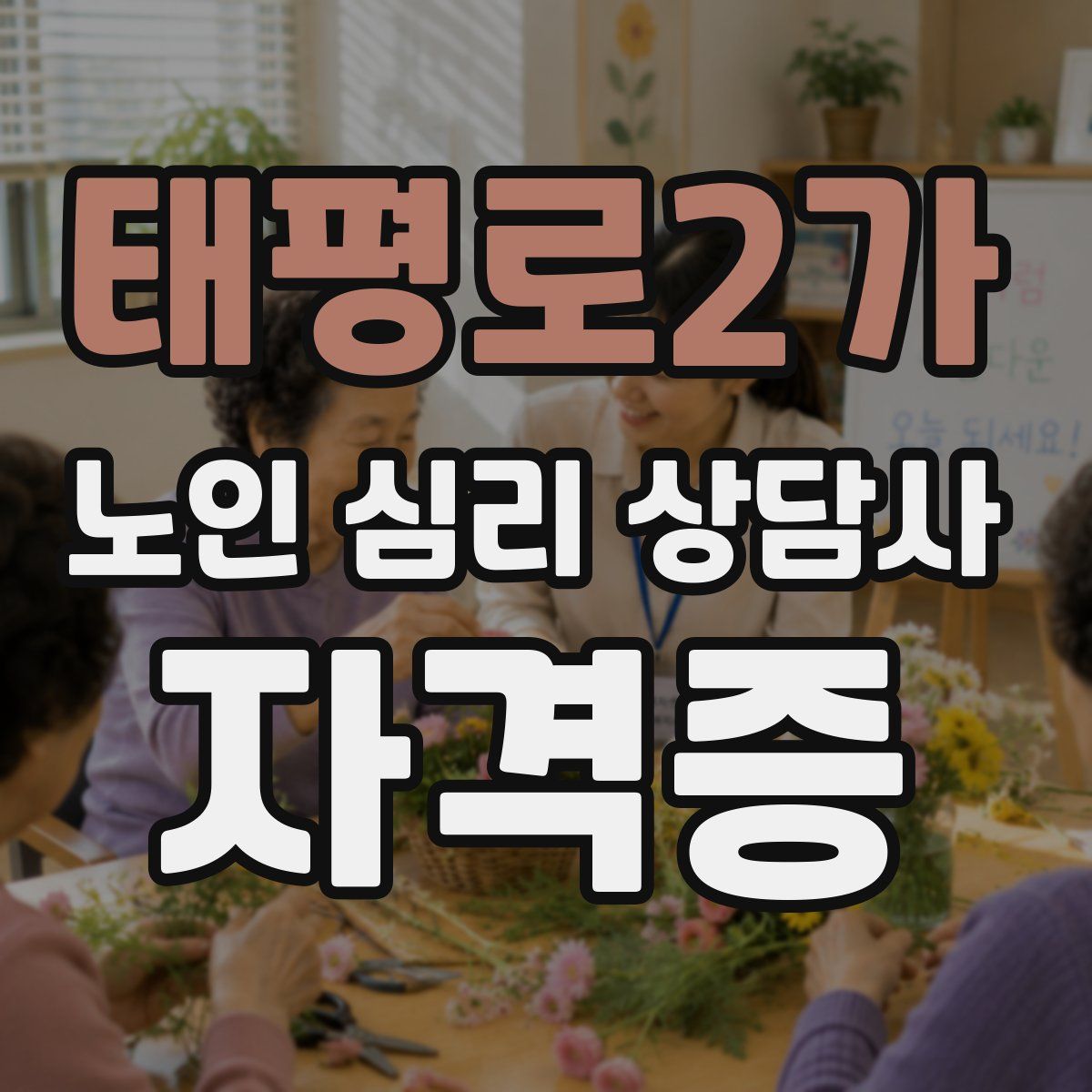 태평로2가 노인 심리 상담사 자격증
