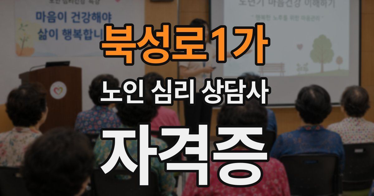 북성로1가 노인 심리 상담사 자격증