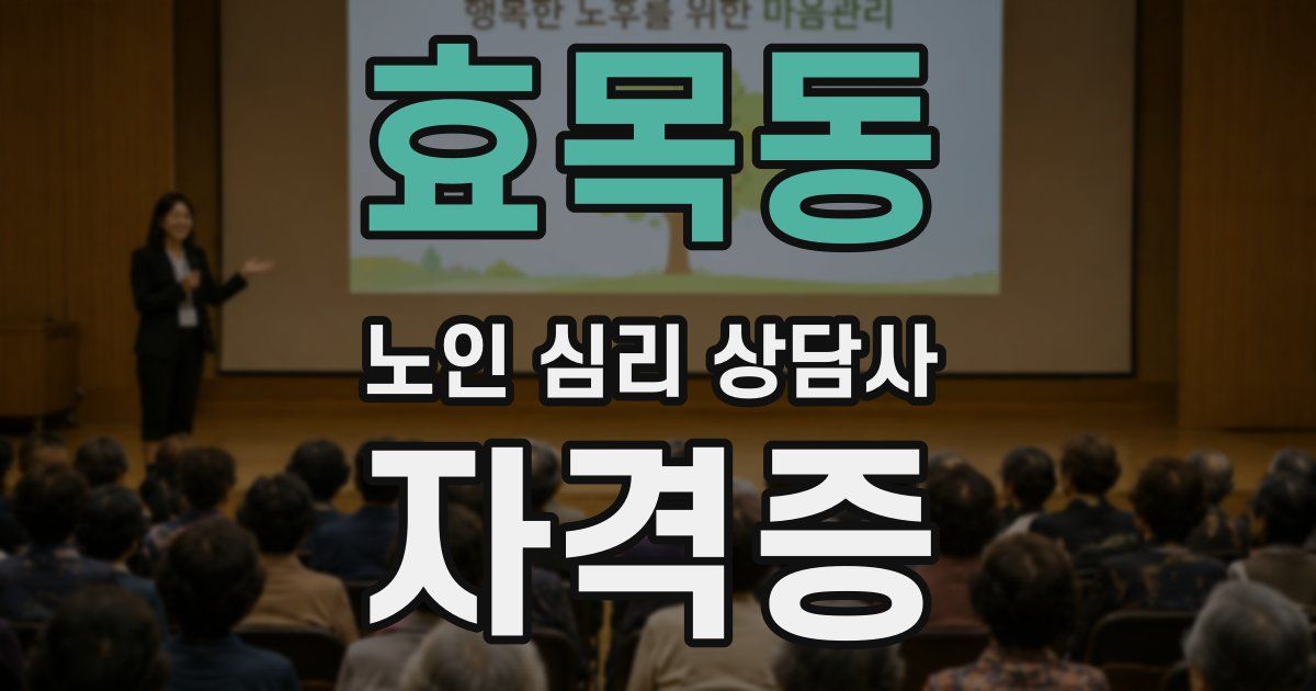 효목동 노인 심리 상담사 자격증