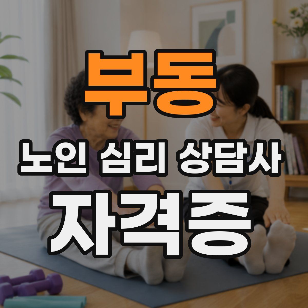 부동 노인 심리 상담사 자격증