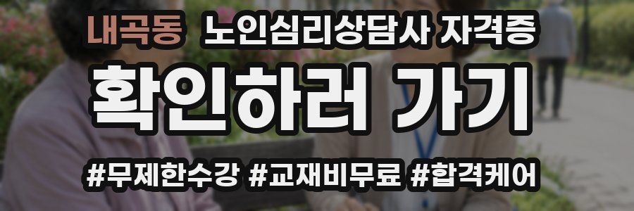 내곡동 노인 심리 상담사 자격증