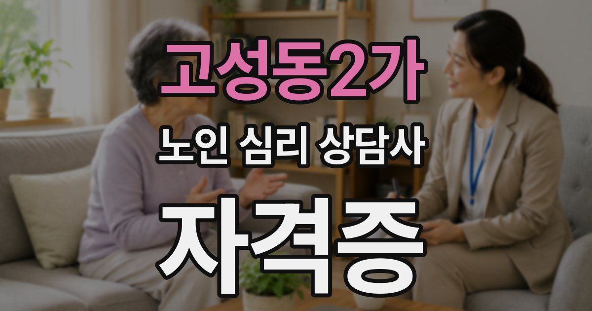 고성동2가 노인 심리 상담사 자격증