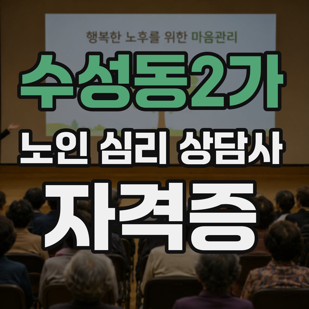 수성동2가 노인 심리 상담사 자격증