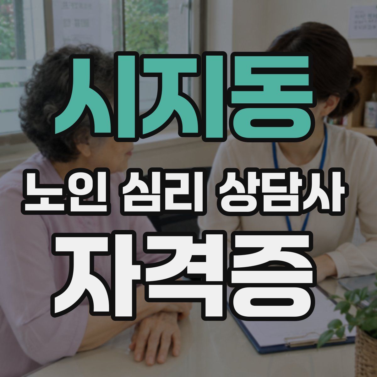 시지동 노인 심리 상담사 자격증