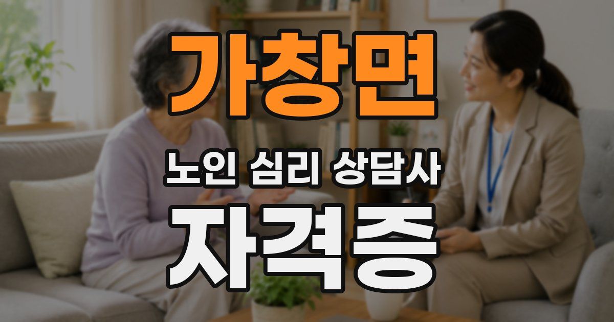 가창면 노인 심리 상담사 자격증
