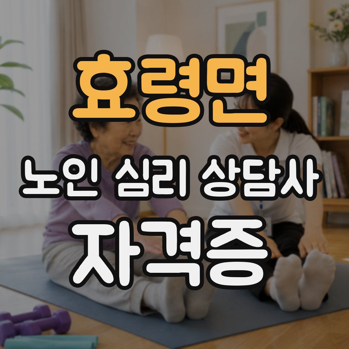 효령면 노인 심리 상담사 자격증