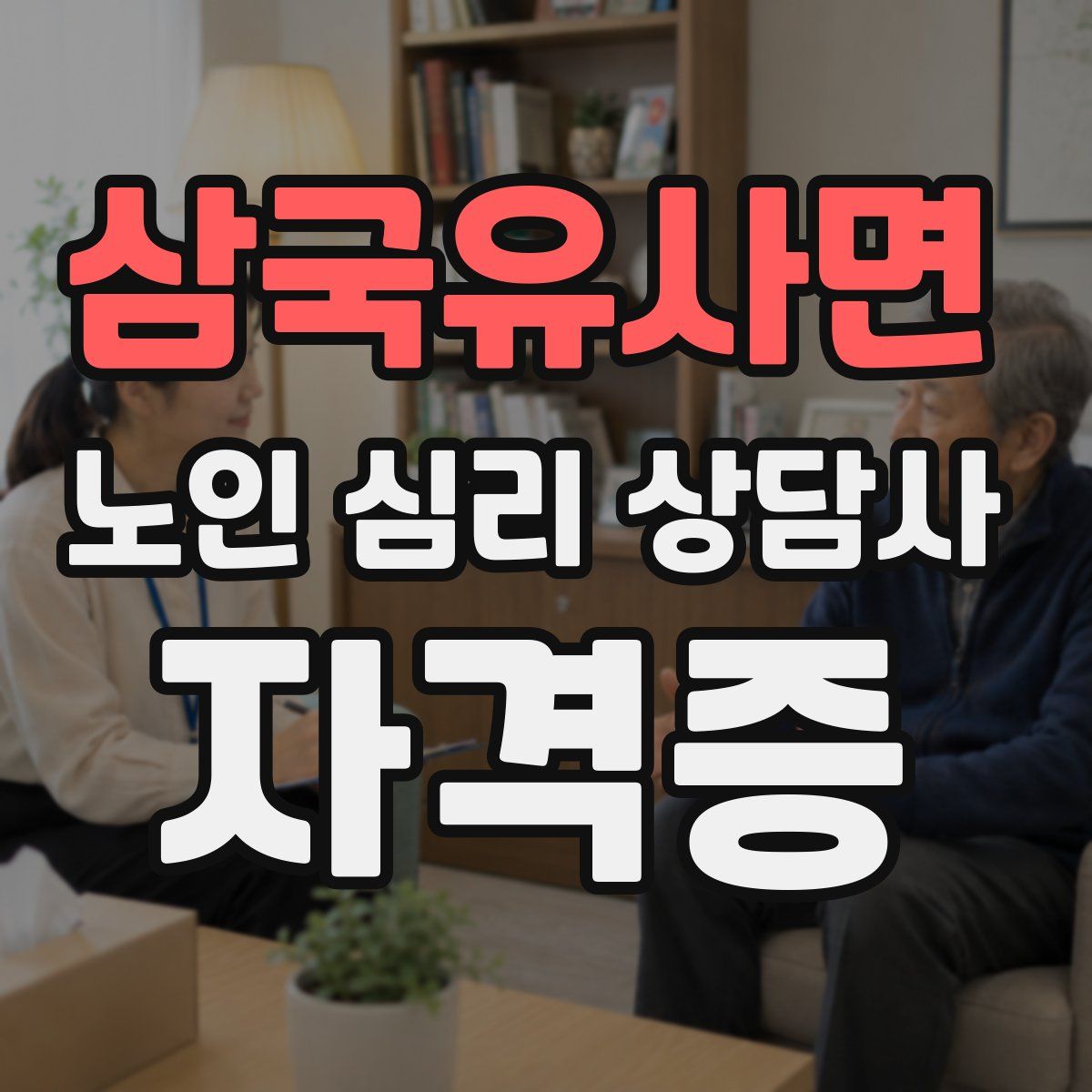 삼국유사면 노인 심리 상담사 자격증