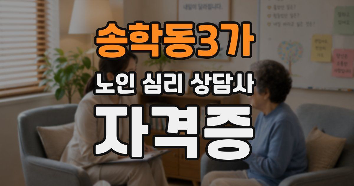 송학동3가 노인 심리 상담사 자격증