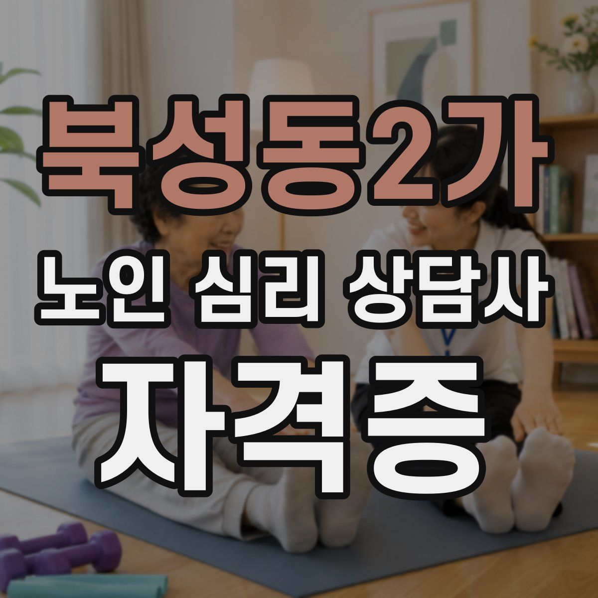 북성동2가 노인 심리 상담사 자격증