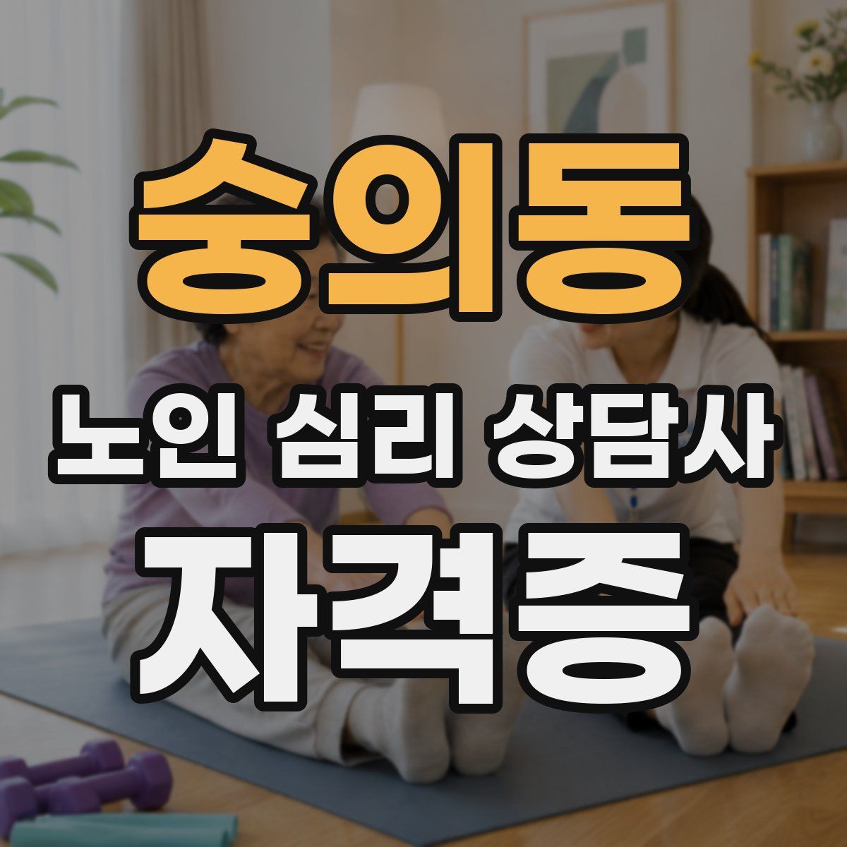 숭의동 노인 심리 상담사 자격증