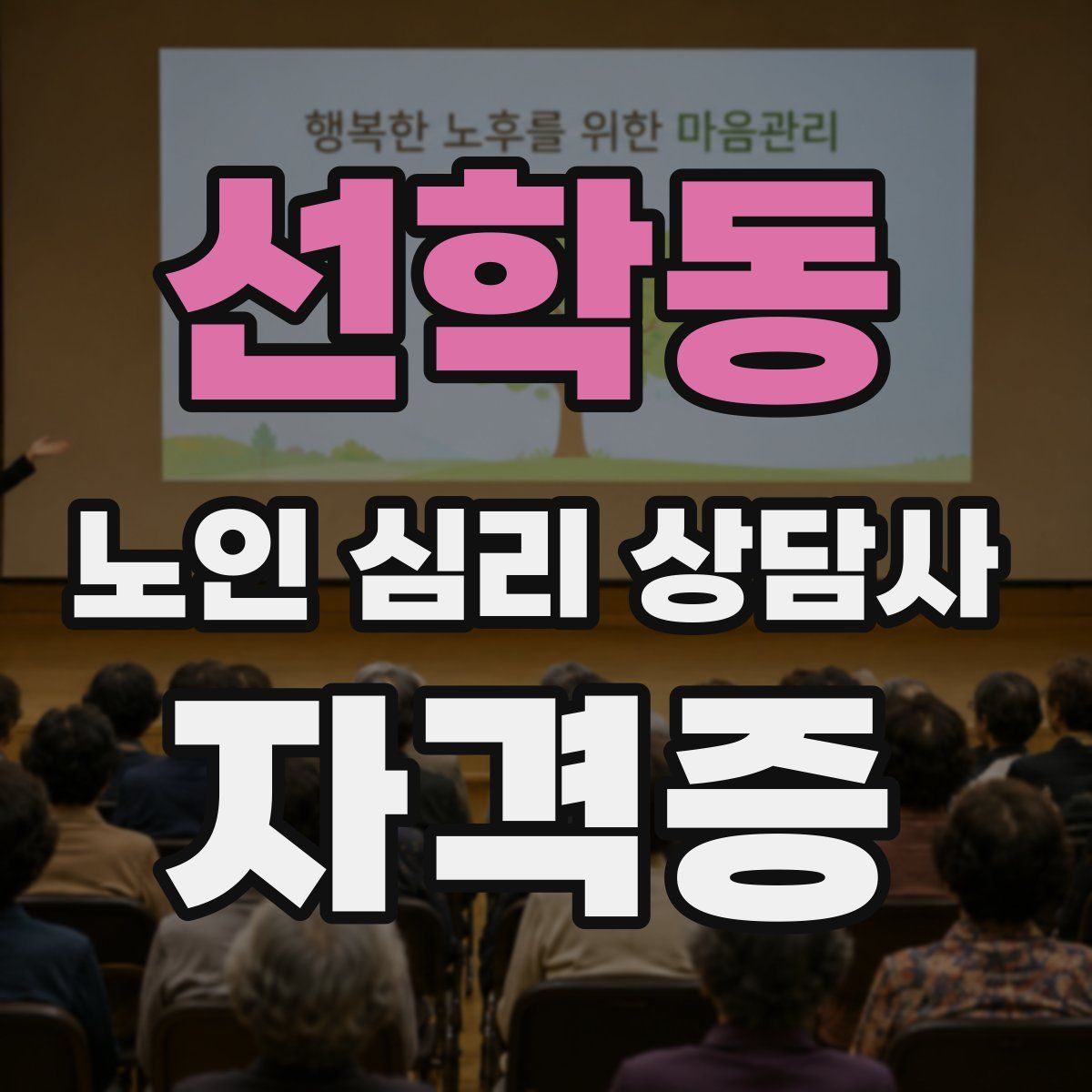 선학동 노인 심리 상담사 자격증