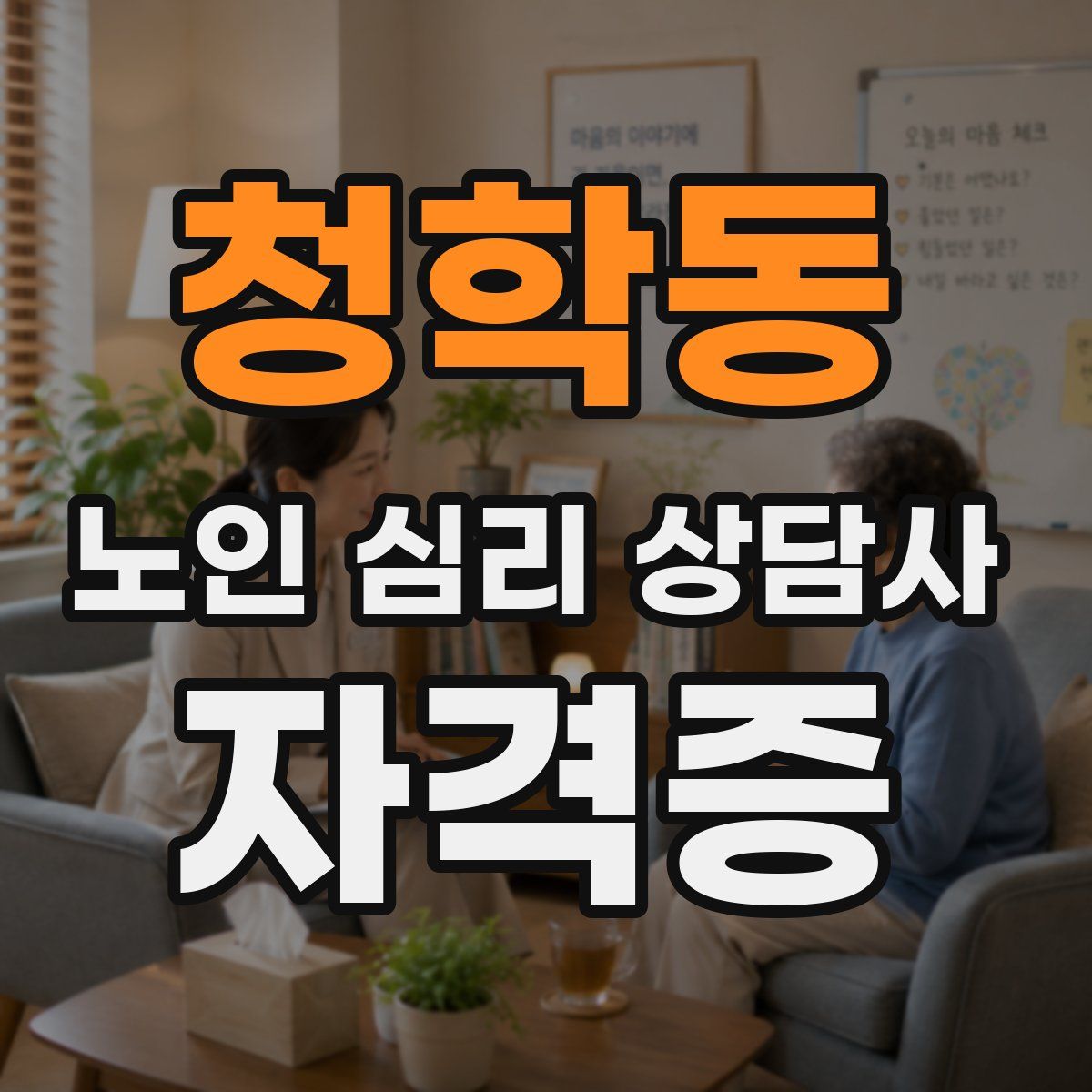 청학동 노인 심리 상담사 자격증
