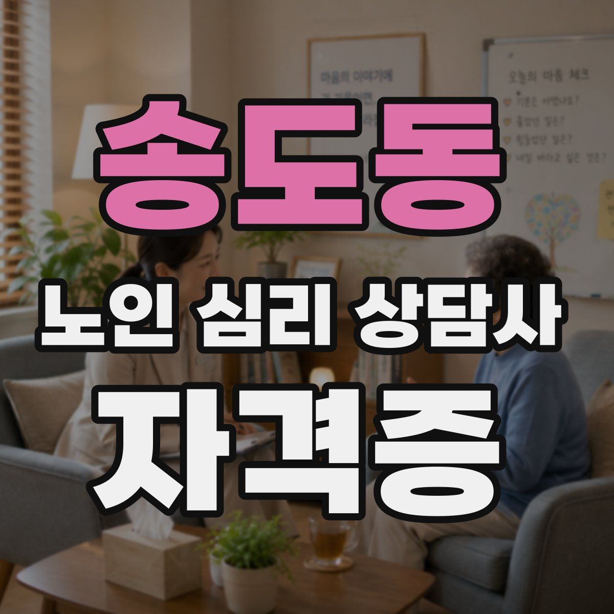 송도동 노인 심리 상담사 자격증