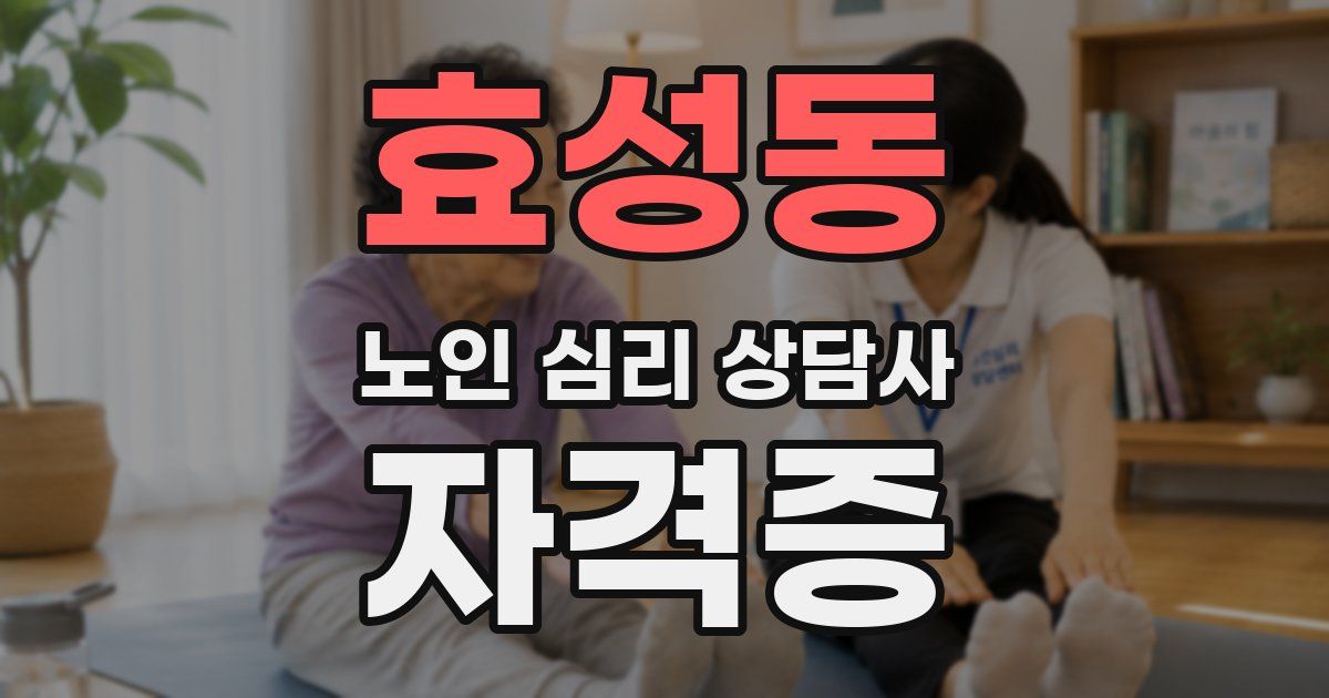 효성동 노인 심리 상담사 자격증