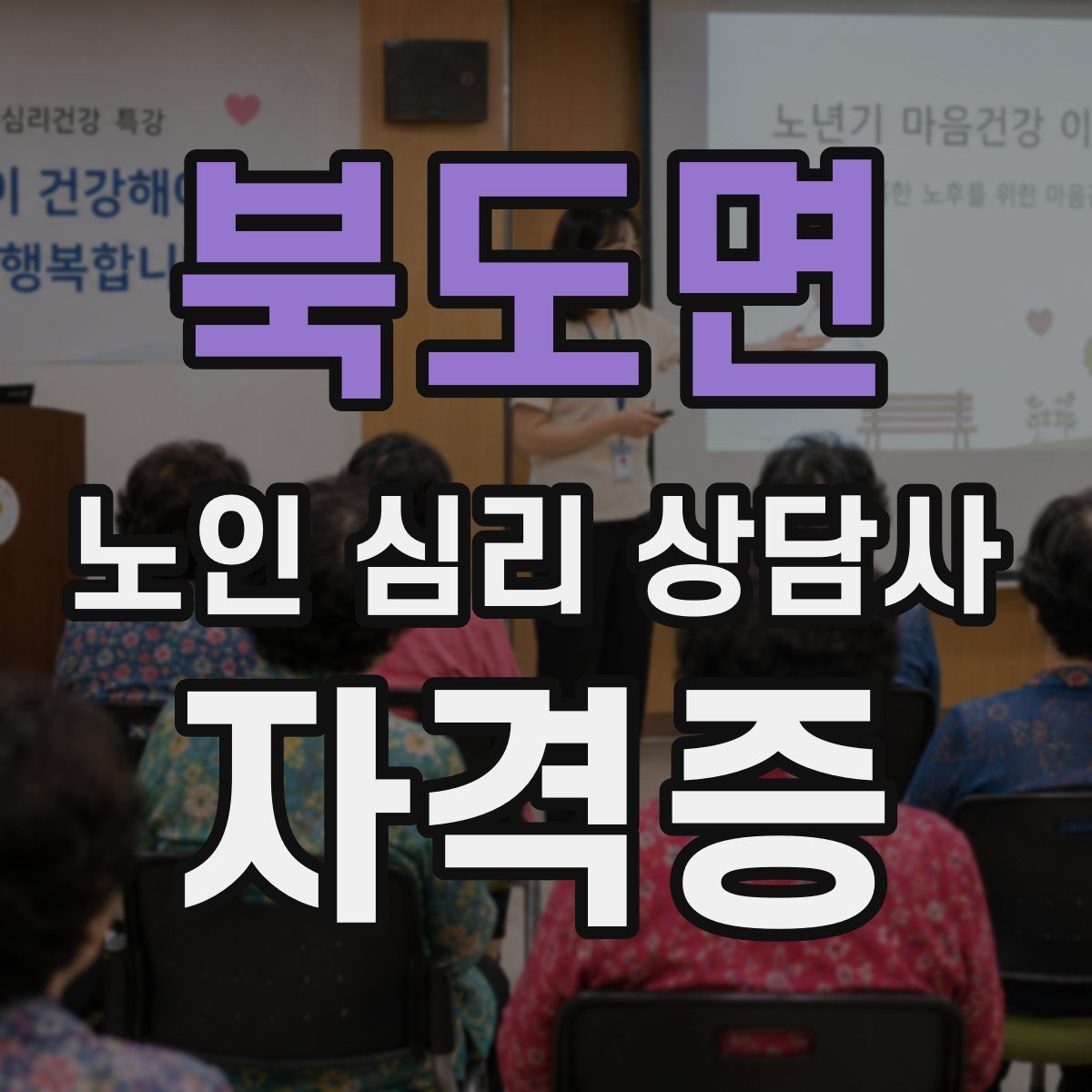 북도면 노인 심리 상담사 자격증