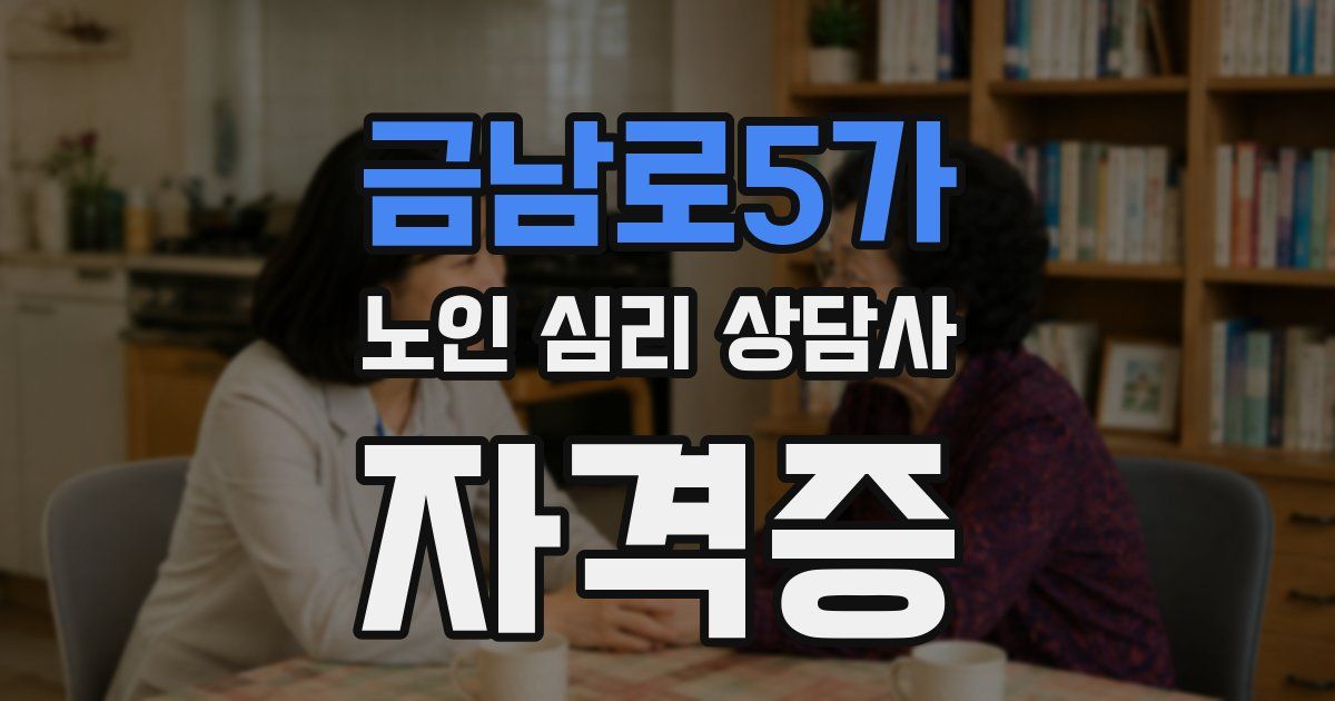 금남로5가 노인 심리 상담사 자격증