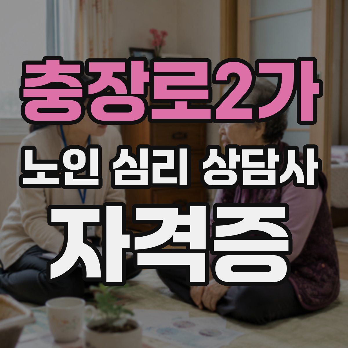 충장로2가 노인 심리 상담사 자격증