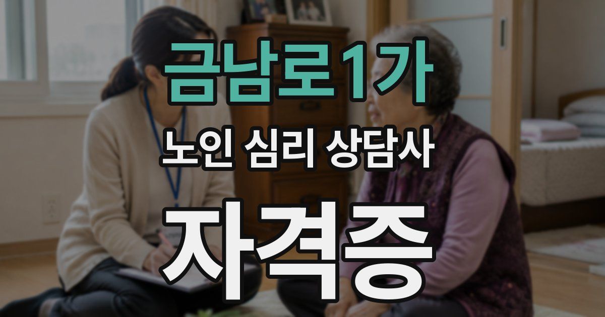 금남로1가 노인 심리 상담사 자격증