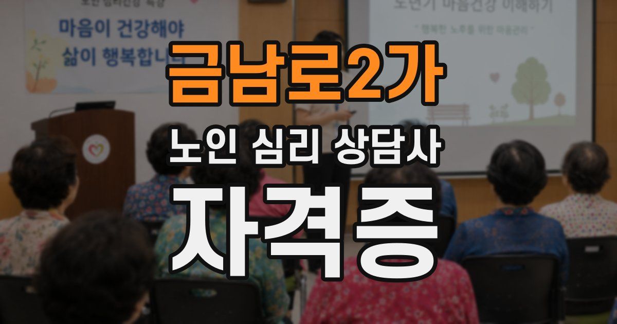금남로2가 노인 심리 상담사 자격증