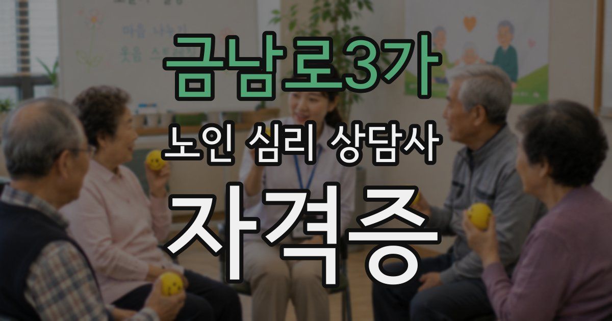 금남로3가 노인 심리 상담사 자격증