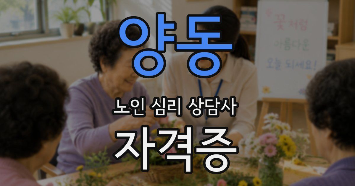 양동 노인 심리 상담사 자격증