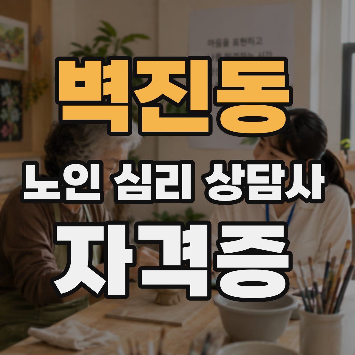 벽진동 노인 심리 상담사 자격증