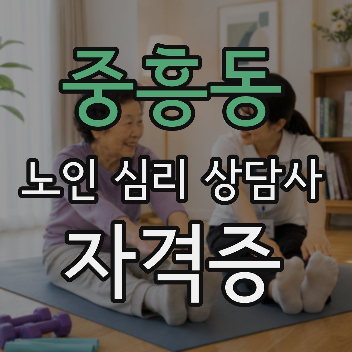 중흥동 노인 심리 상담사 자격증