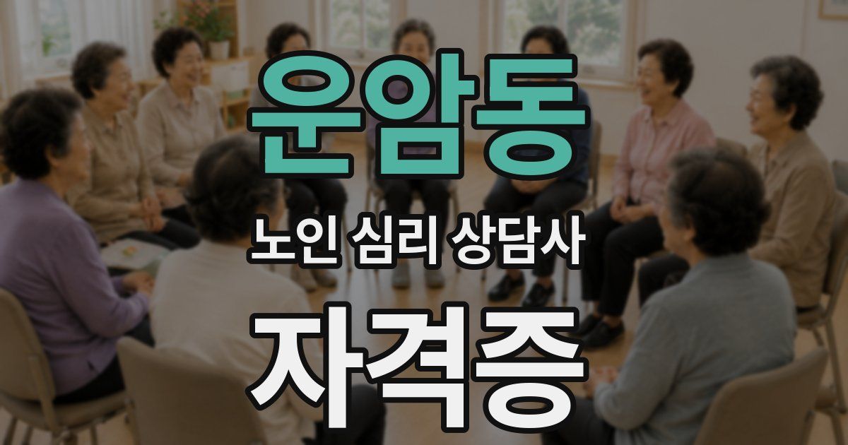 운암동 노인 심리 상담사 자격증