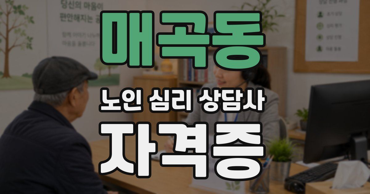 매곡동 노인 심리 상담사 자격증