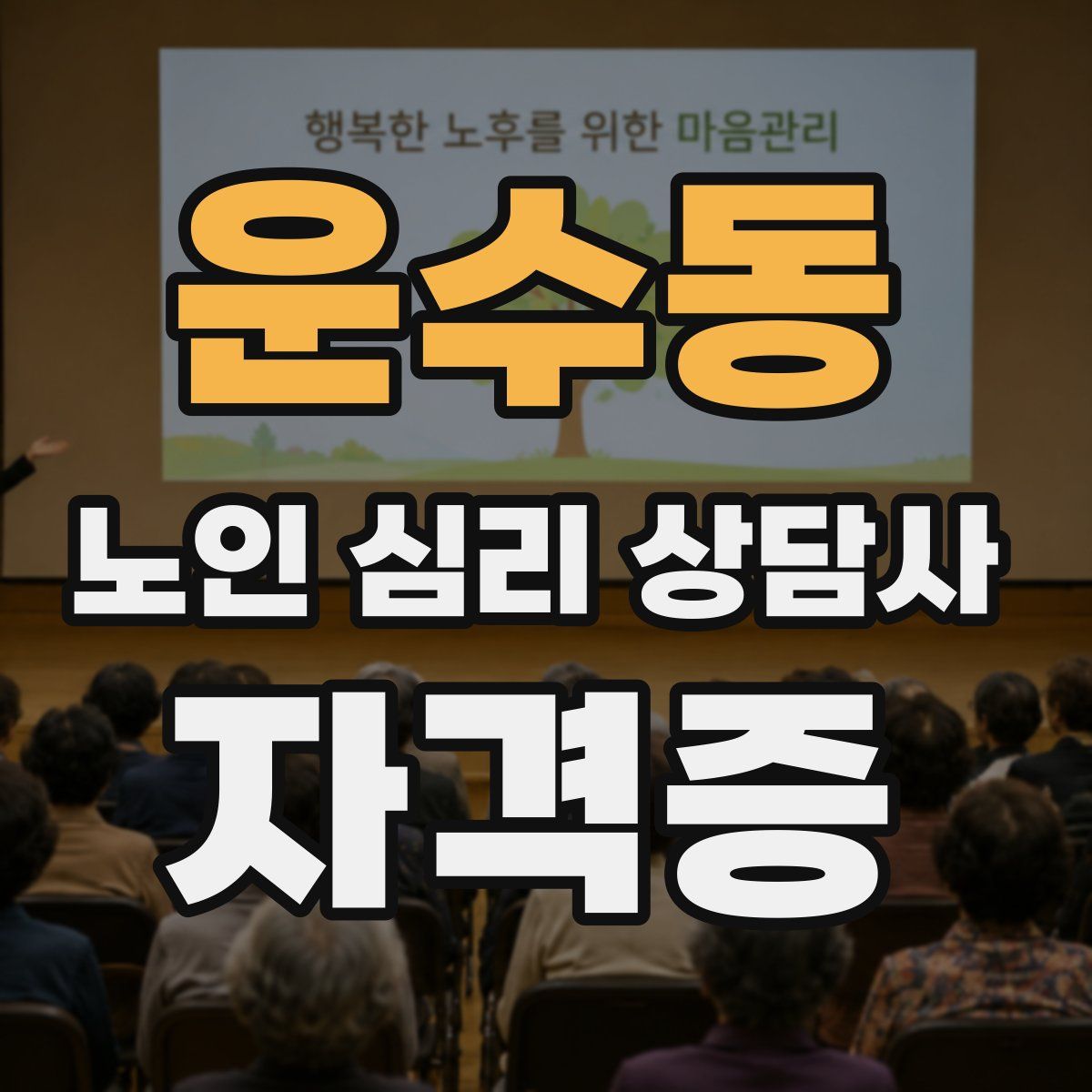 운수동 노인 심리 상담사 자격증