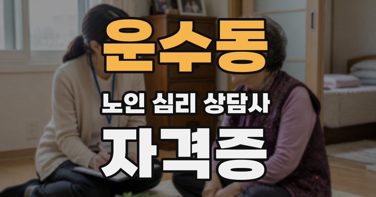 운수동 노인 심리 상담사 자격증