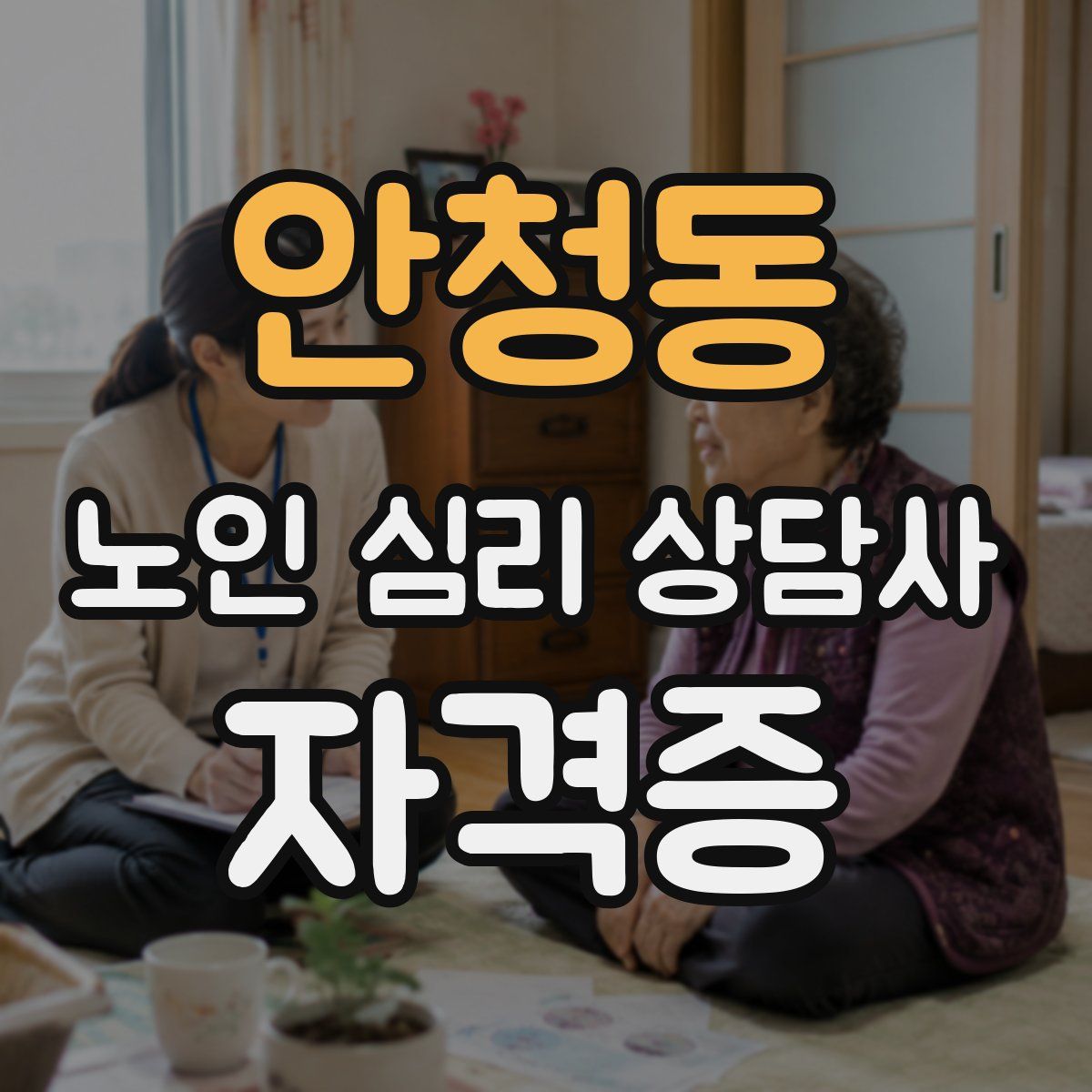 안청동 노인 심리 상담사 자격증