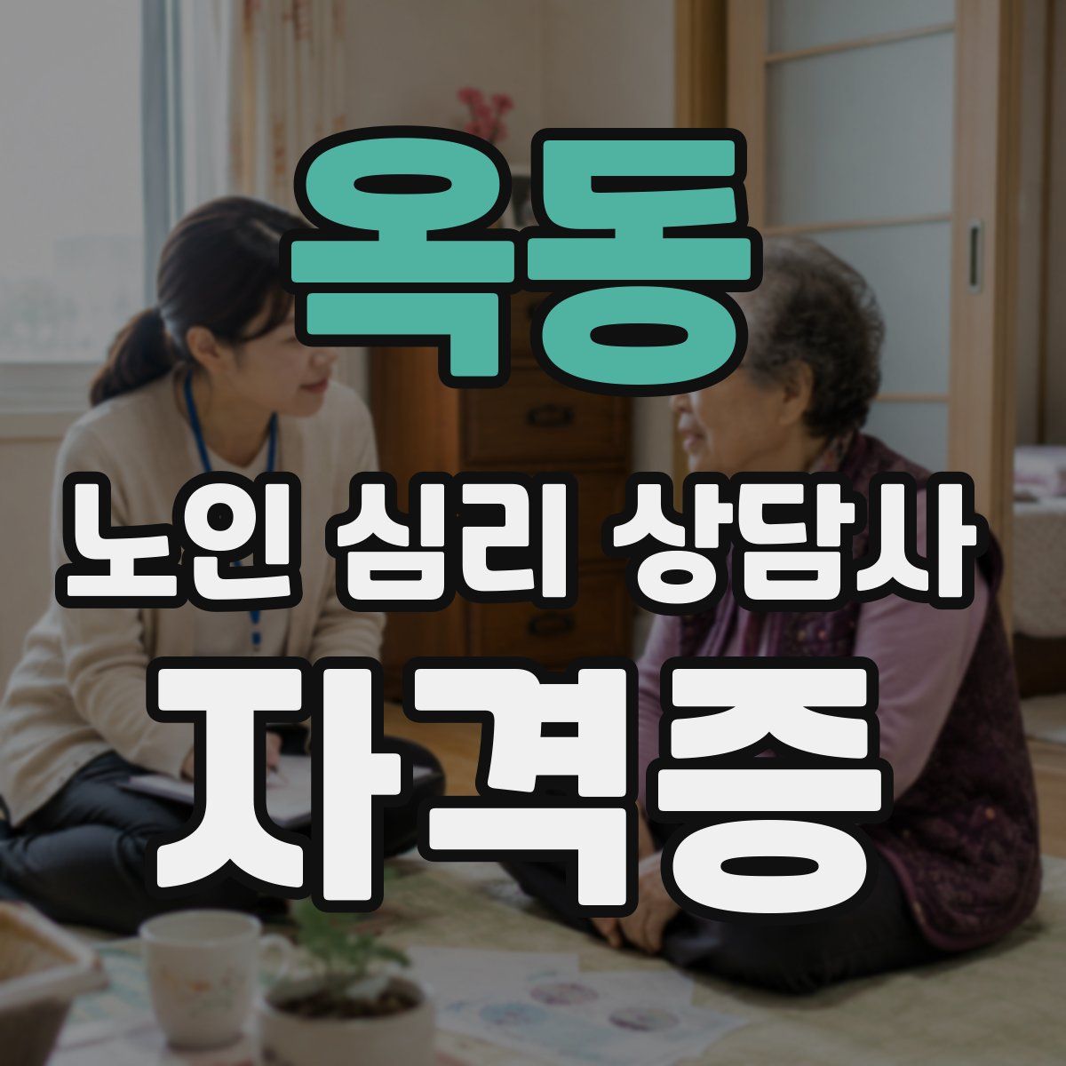 옥동 노인 심리 상담사 자격증