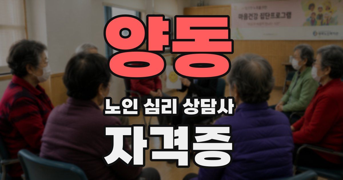 양동 노인 심리 상담사 자격증