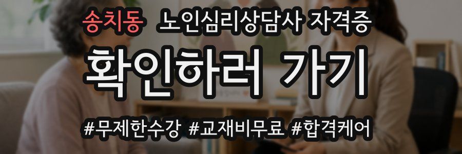 송치동 노인 심리 상담사 자격증