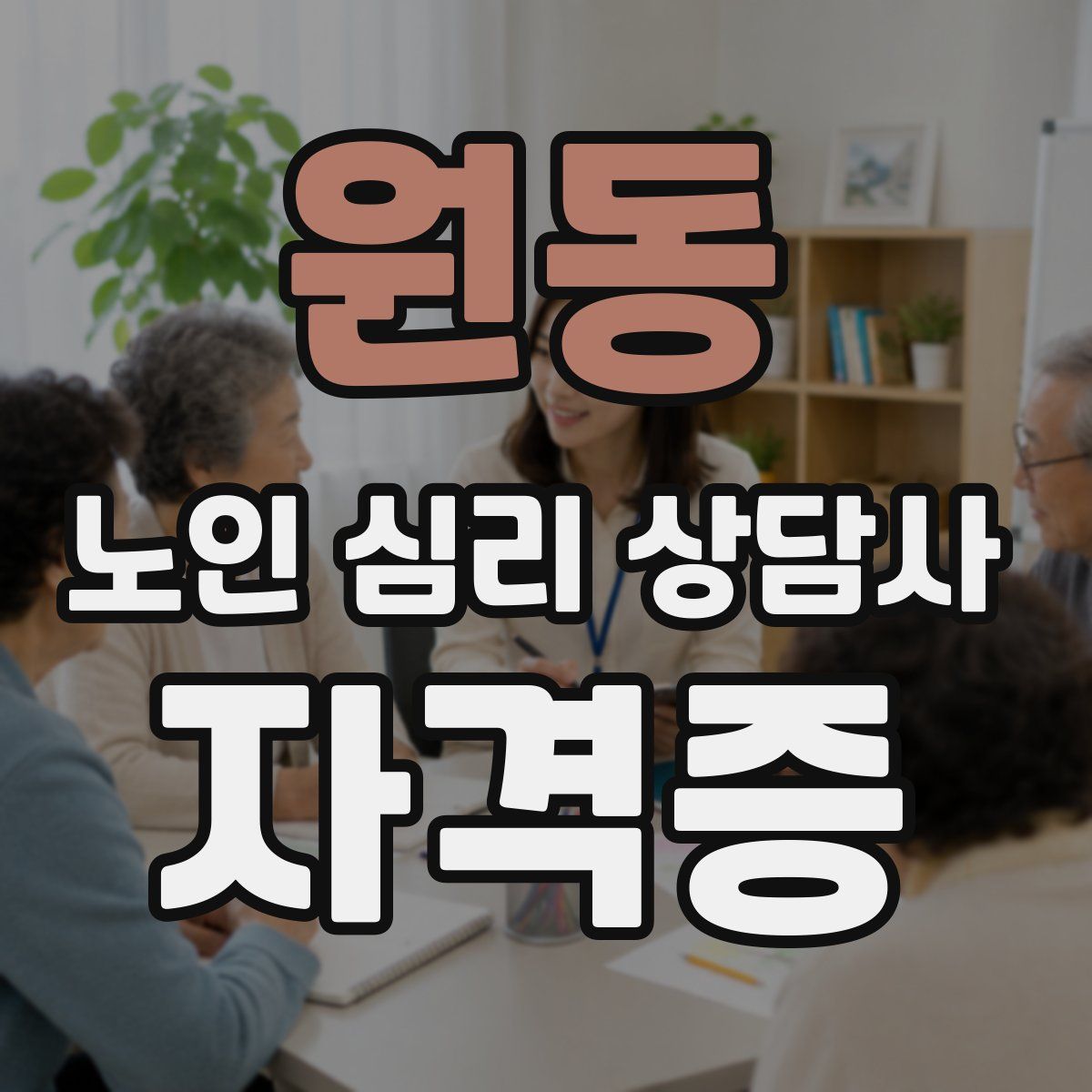 원동 노인 심리 상담사 자격증