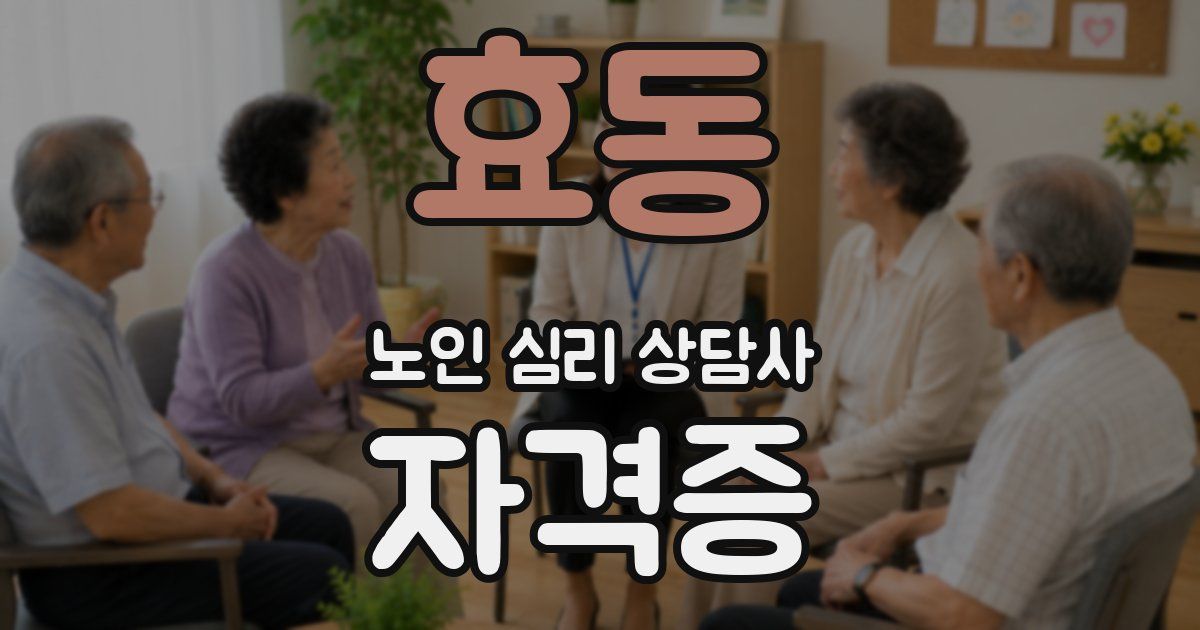 효동 노인 심리 상담사 자격증