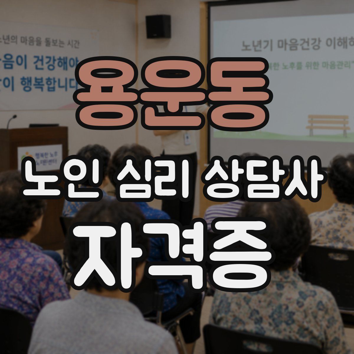 용운동 노인 심리 상담사 자격증