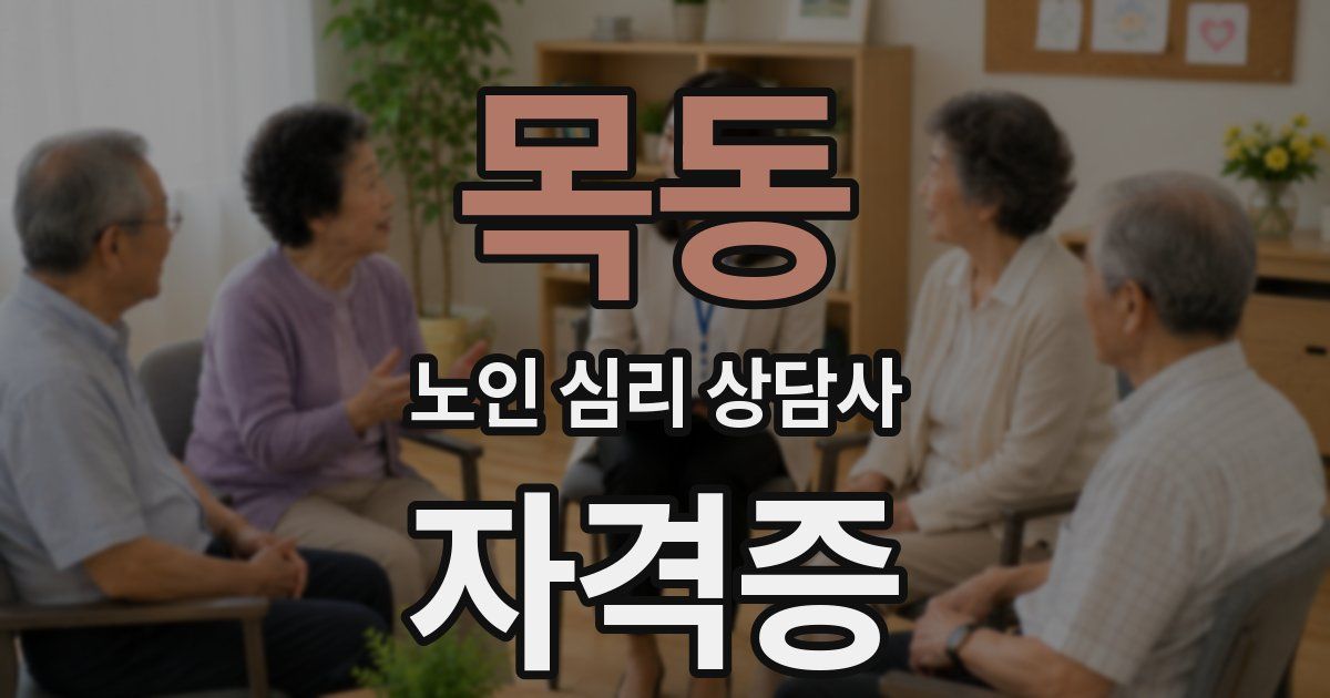 목동 노인 심리 상담사 자격증